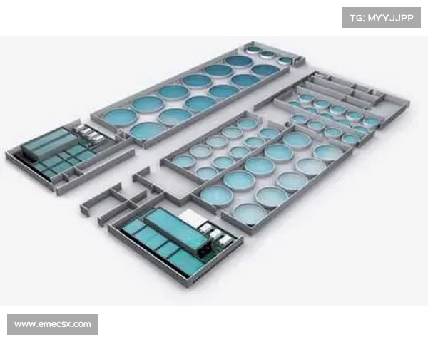 名古屋鲸八主场雨水循环系统助力节水每场30吨环保行动启动